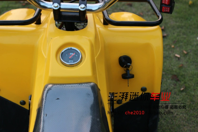 Điện Mini ATV 48v20AN Trục động cơ Không chổi than Công viên Sân chơi Taxi Bốn bánh