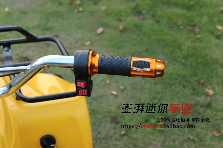 Điện Mini ATV 48v20AN Trục động cơ Không chổi than Công viên Sân chơi Taxi Bốn bánh cào cào mini