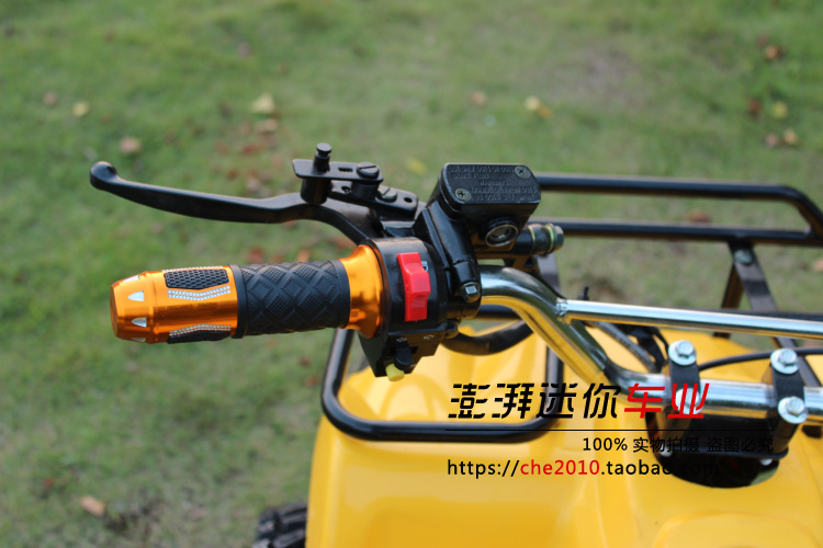 Điện Mini ATV 48v20AN Trục động cơ Không chổi than Công viên Sân chơi Taxi Bốn bánh cào cào mini