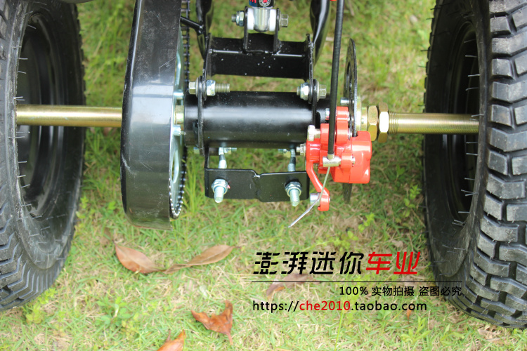Electric Bull Mini Beach Quad Wheel Pin 36v800w 20an Cho thuê xe máy không chổi than xe máy trẻ em 2 bánh