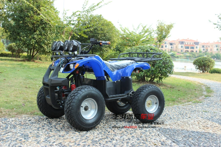 Electric Bull ATV Autene vi sai Xe bốn bánh Xe bốn bánh lái xe địa hình