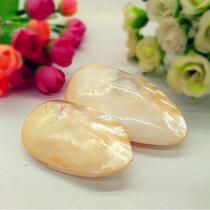 Natural conch shell 5-8cm pearl shell double-sided mussel fish tank decoration aquarium landscaping creative home