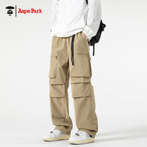 Aape Park American functional work pants mens spring and autumn straight style trendy brand handsome street assault pants large size
