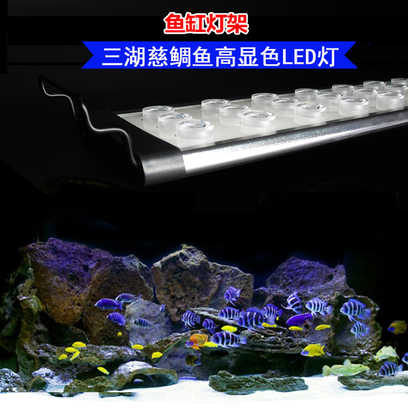 Jingfeng ornamental fish tank Tropical Sanhu Fish fish tank lamp Three-row lead color lamp Lighting high color LED sea water lamp