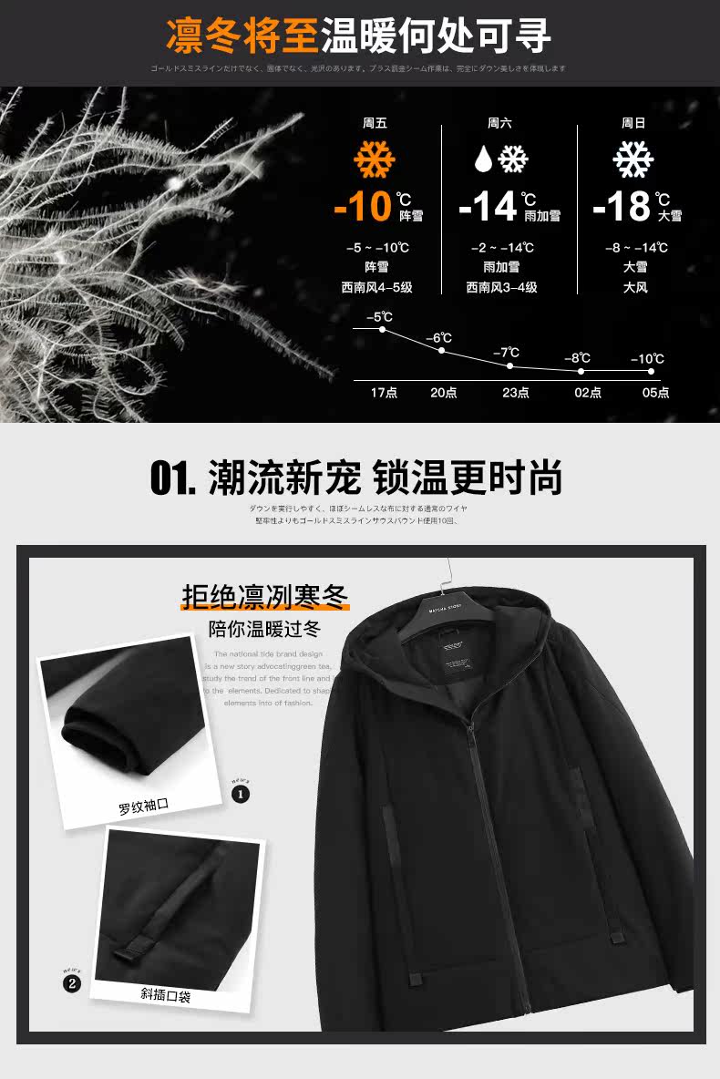 Blouson homme      en Polyester - Ref 3121651 Image 11