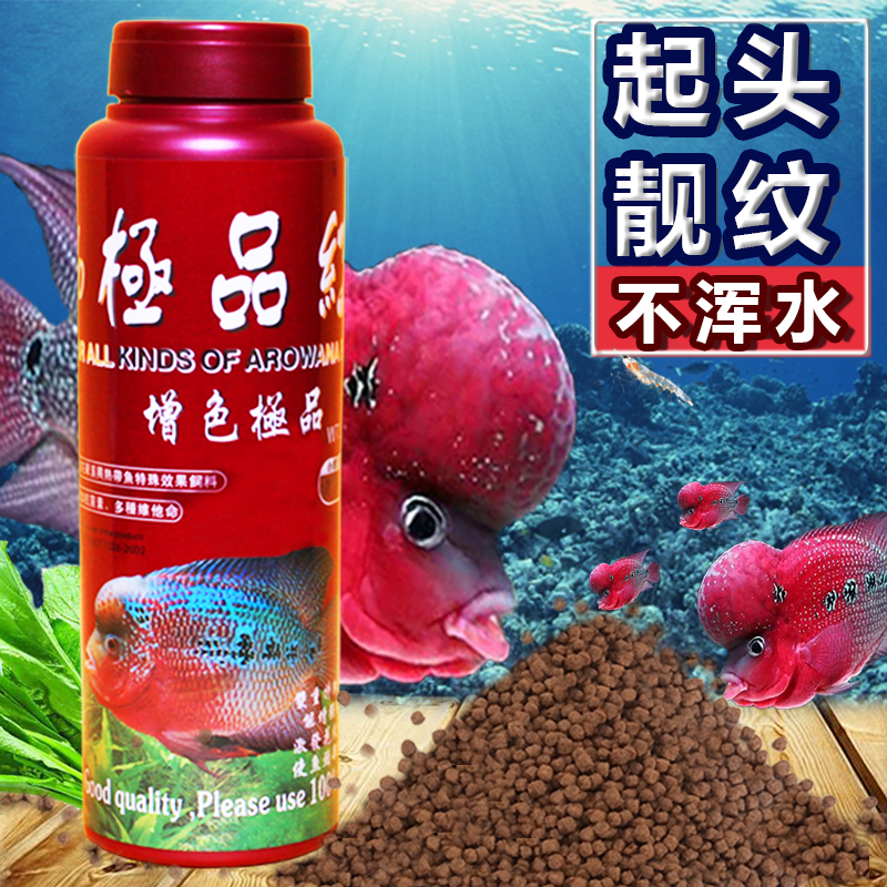 Seven-day safflower Luohan pellet feed quickly starts to increase color and fast-growing longevity star head high protein fish food
