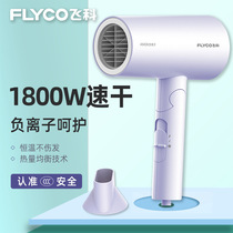 Feike hair dryer net red household high-power foldable dormitory negative ion hair hair blower FH6277