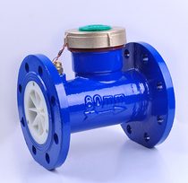 Large-calibre water meter mechanical flange liquid seal digital screw wing type rotary wing type removable water meter egret dn32 40mm