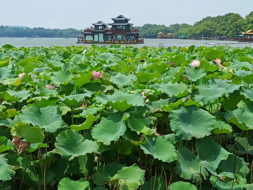 来祥科技店