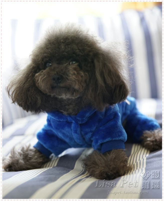 Peter Pan biến đổi quần áo thú cưng Teddy VIP hơn quần áo cún con được trang trí bằng lông cừu san hô mùa xuân và mùa thu - Quần áo & phụ kiện thú cưng quần áo cho chó mèo