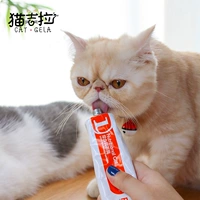 Cat Gila - Red Dog dinh dưỡng kem 120g Pet Dog Cat dinh dưỡng Kem cho mèo Mèo con mèo Sản phẩm sức khỏe Sữa bột cho chó con mới đẻ