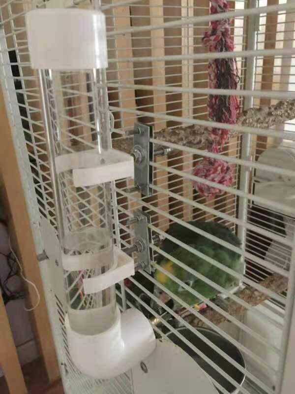 Parrot striker automatic drinking fountain water feeder feeder for starling birds kettle water tank bird food box acrylic - Taobao