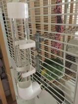 Parrot firing pin Automatic drinking water feeder Water feeder feeder Starling bird with kettle Water tank Bird food box Acrylic
