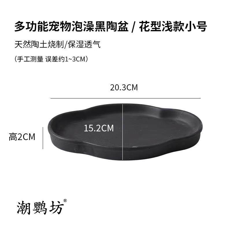 Chao parrot crawling pet yellow edge platform edge closed shell turtle semi-water turtle ceramic drinking basin purple sand bath ecological environment landscaping