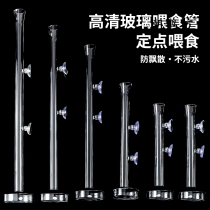 Fish tank feeding circle Feeding Circle Aquarium Shrimp Vat Feeding Oesophageal Feed Pitcher Small Fish Tropical Peacock Fish