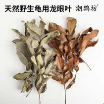 Dragon eye leaf adoptive turtle free of cooking and anti-corrosive skin to improve water quality water family native cylinder build view to avoid the ecological environment of the house