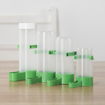 Automatic bird feeder drinking water dispenser feeding device Starling drinking water plastic
