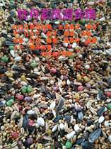 Small and medium-sized parrot bird food Multicolored nourishing pills Peony Cockatiel nutrition mixed food shelled bird food