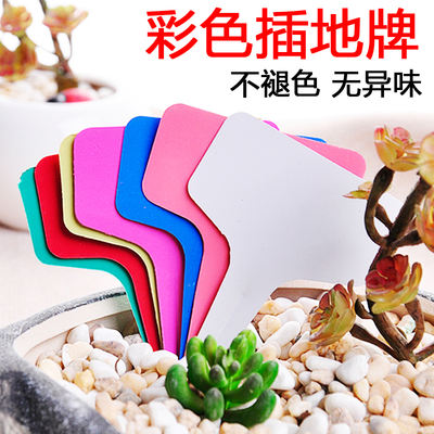 Ground tags, waterproof tags, small tags, plastic tags, succulent plant tags, plant signs