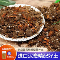 Iron Wire Lotus Special Earth Moon Season Native land Junko Lan nourishing earth Home fluffy and breathable soil to grow earth coarse peat