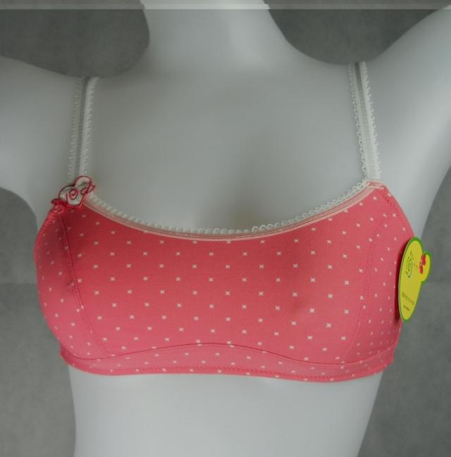 Shang 16 Comfortable vest-style girl student small cup gather bra 0BS66