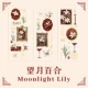 Wangyue Lily-3 листы