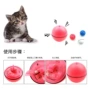 Pet LED Flash Ball Ball Cat Dog Toy Glowing Ball Cat Tương tác Đồ chơi Mèo Cung cấp trực tiếp - Mèo / Chó Đồ chơi đồ chơi cho chó poodle