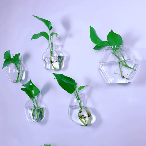Висящая стена цветочная бутылка гидропонное растение просто
