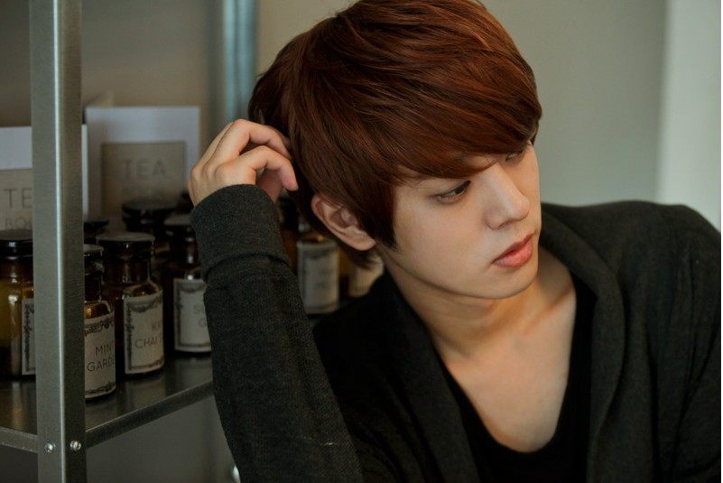 Perruque Harsh pelucheux confirme - Ref 2609166 Image 4