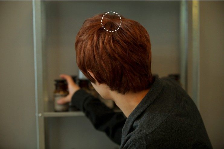 Perruque Harsh pelucheux confirme - Ref 2609166 Image 7