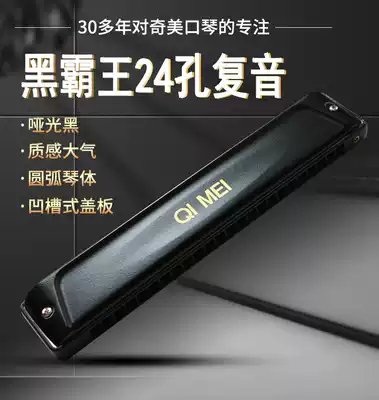 Germany imported reed 24 holes 28 holes polyphonic C tune Advanced beginner adult professional performance grade harmonica men and women