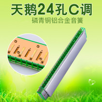Swan harmonica C tune 24-hole monophonic harmonica children adult beginner starter student mouth organ
