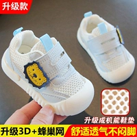 Little Lion Single Network Updage