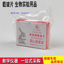Glass Slide Teaching Instruments Experimental Equipment Bioteaching Aids Microscopy Accessories for Science and Technology