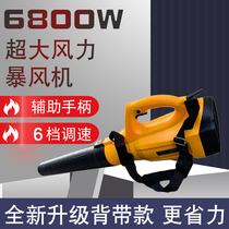 Hair Dryer High Power Storm Industry Class Home Dust Removal Electric Blower Site Plant Orchard Hand Tools