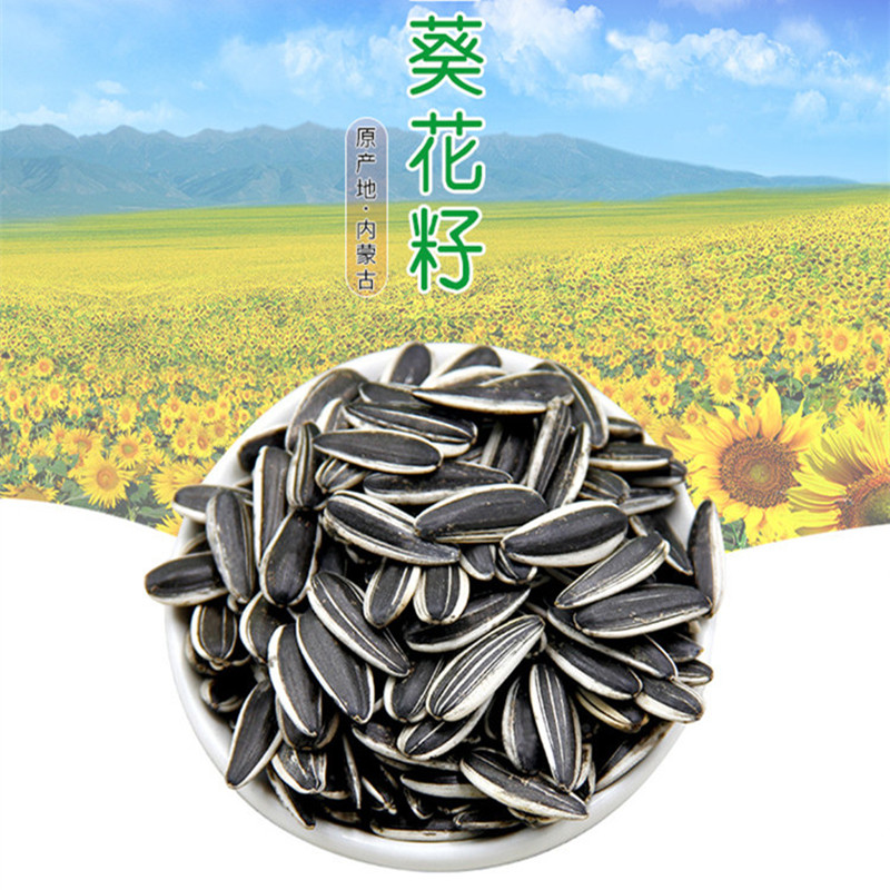 Inner Mongolia Cooked Sunflower Seed Ba Franchise River Sleeve Specie Sunflower Seeds Original Taste Melon Seeds 500 gr 1 Bag Casual Snacks