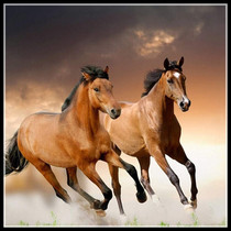 Embroidery two horses cross stitch diamond embroidered horse Pentium Diamond painting full of diamond glue Diamond painting living room study sticker