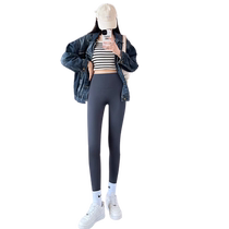 Shark Pants Womens Autumn and Winter Outerwear High Waist Hip Lifting Yoga Barbie Pants No Embarrassing Lines Plus Velvet Thickened Warm Leggings