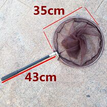 Short section copy net rod mini stainless steel fish copy telescopic folding fish net Ultra-light super hard mini portable copy net