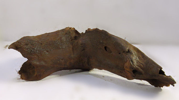  A1275.jpg
