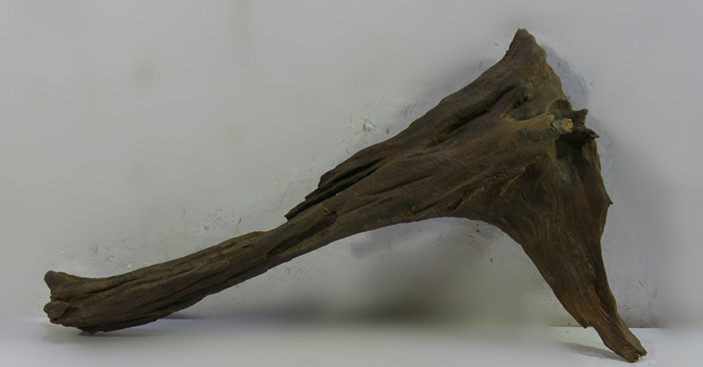  A1319.jpg