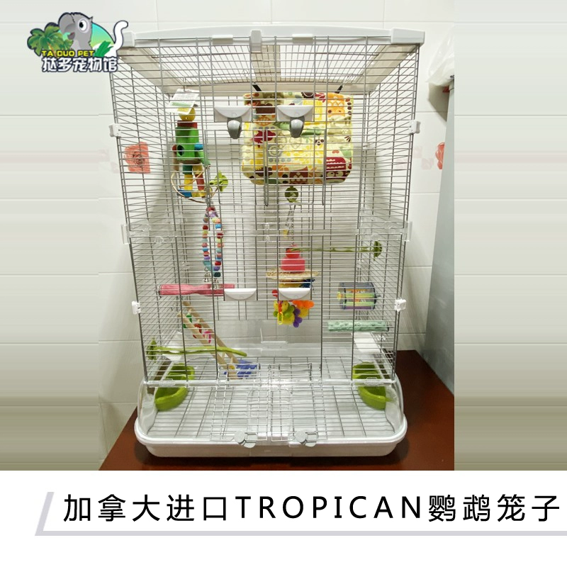 Tart Pet Shop Canada Nhập khẩu Vẹt nhiệt đới Chim vẹt sống Birdcage Nguồn cung cấp vẹt - Chim & Chăm sóc chim Supplies