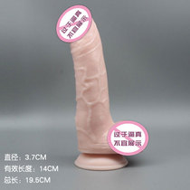 gay Chrysanthemum Anal Masturby Sex Men Gay Men Fake Simulation of False Japanese Penis