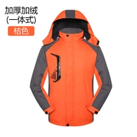 Plel из встроенного оранжевого бархата