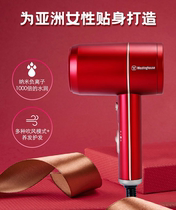 Westinghouse hair dryer household negative ion portable hair care large air Volume Two-speed adjustment net red electric blower H101