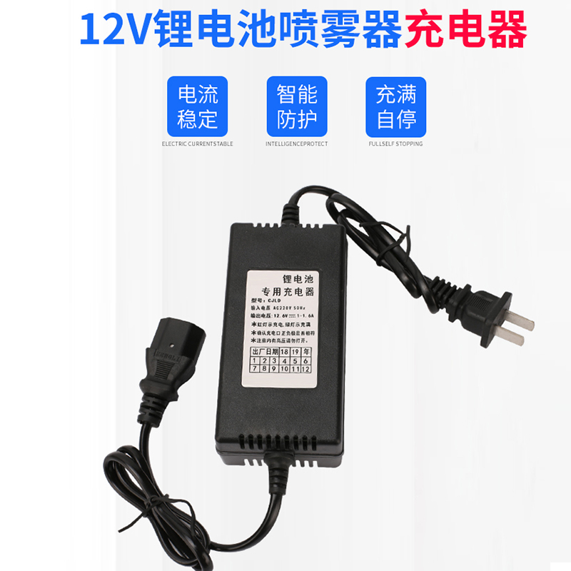 Special charger for lithium batteries