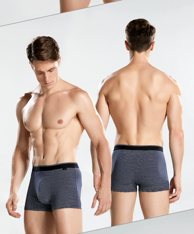 Đồ lót của nam giới Camel Quần lót nam Boxer quần đùi cotton thoáng khí Thanh niên có sọc Thoải mái cho bé trai Quần đùi boxer 2 gói - Cặp đôi