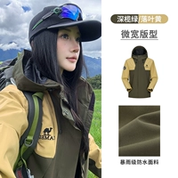 [Один стиль для мужчин и женщин | Для девочек на размер меньше] M34CAFO730 Темно-оливковый/лиственный желтый