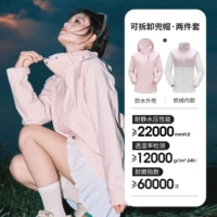 【Тибетская настоящая трех защита】 Sakura Clam Powder, самка, AD22263513X