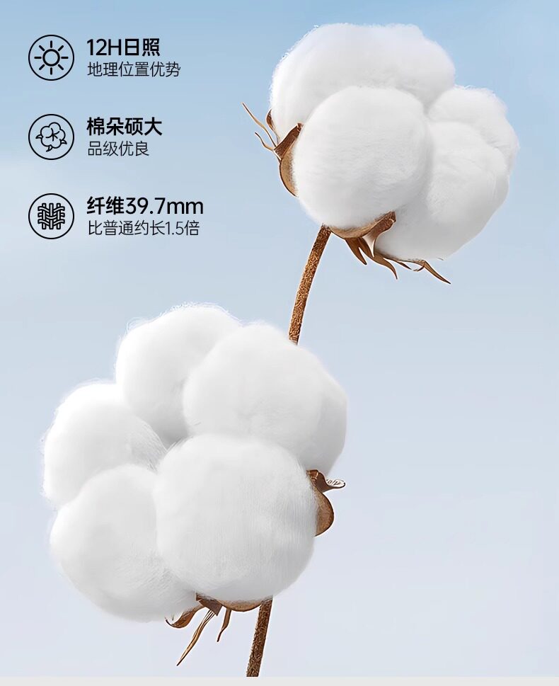 Мужские спортивные летние черные универсальные альпинистские штаны для отдыха, свободный крой Camel 